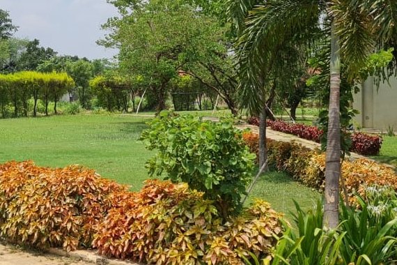 Plot In Raipur Chhattisgarh – kalpvriksh Residential plot Plot In Raipur Chhattisgarh - kalpvriksh Residential plot